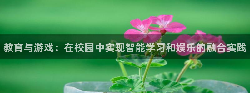 蓝冠娱乐平台官网注册：教育与游戏：在校园中实现智能学习和娱乐