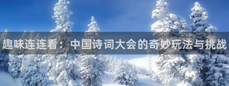 蓝冠娱乐2首页登录：趣味连连看：中国诗词大会的奇妙玩法与挑战