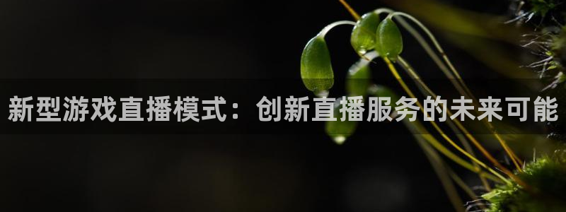 蓝冠娱乐注册测速：新型游戏直播模式：创新直播服务的未来可能