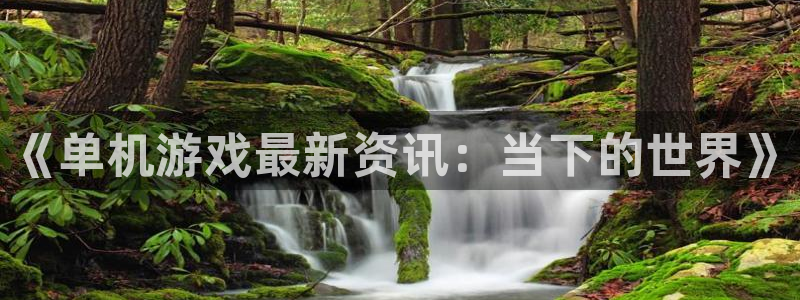 蓝冠娱乐游戏：《单机游戏最新资讯：当下的世界》