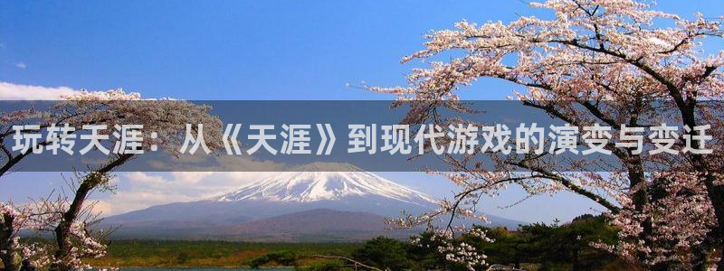 蓝冠娱乐什么意思：玩转天涯：从《天涯》到现代游戏的演变与变迁