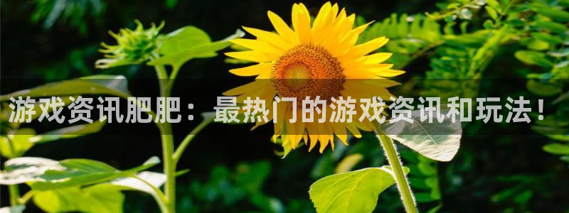 蓝冠娱乐平台登录：游戏资讯肥肥：最热门的游戏资讯和玩法！