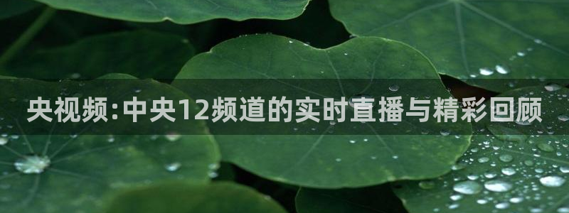 nba直播免费观看直播在线88看球：央视频:中央12频道的实时直播与精彩回顾