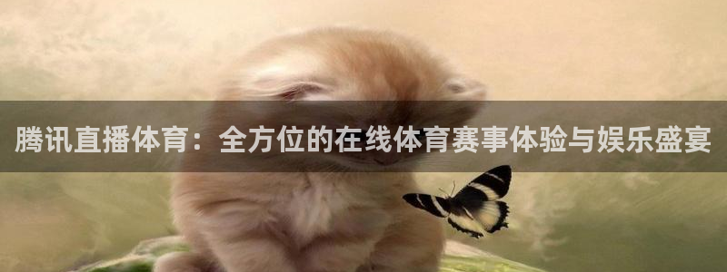 88看球电视直播：腾讯直播体育：全方位的在线体育赛事体验与娱乐盛宴