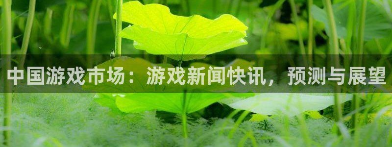 蓝冠怎么样