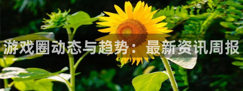 蓝冠怎么样