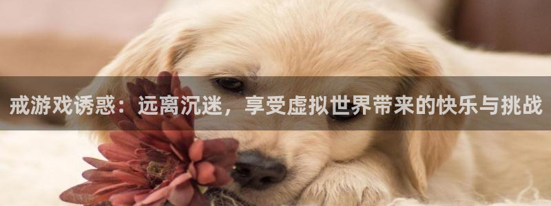 蓝冠在线