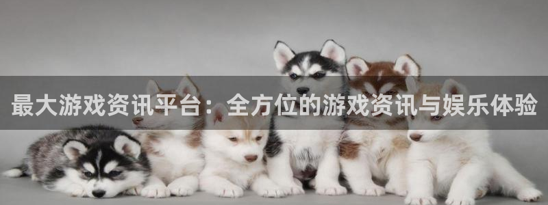 蓝冠招商首页网址：最大游戏资讯平台：全方位的游戏资讯与娱乐体