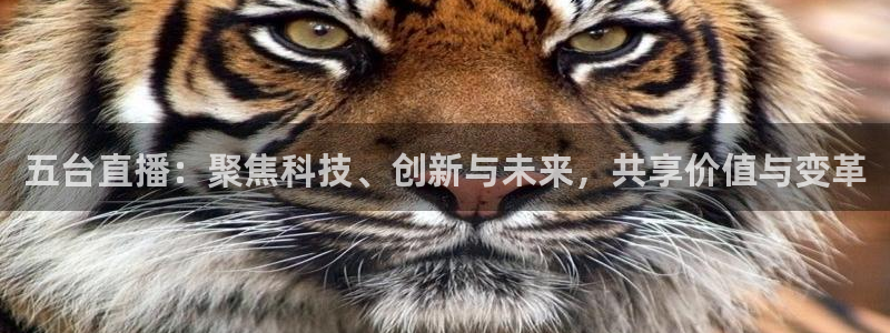 88看球nba直播间：五台直播：聚焦科技、创新与未来，共享价值与变革