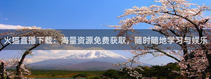 88看球免费直播回放：火猫直播下载：海量资源免费获取，随时随地学习与娱乐