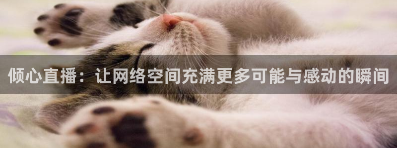 88看球:足球直播_nba线上看_免费体育直播：倾心直播：让网络空间充满更多可能与感动的瞬间