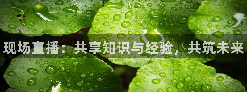 88看球直播官网：现场直播：共享知识与经验，共筑未来