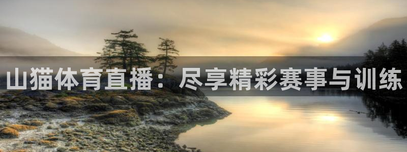 188看球直播：山猫体育直播：尽享精彩赛事与训练