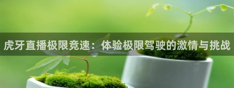 188看球直播官网入口：虎牙直播极限竞速：体验极限驾驶的激情与挑战