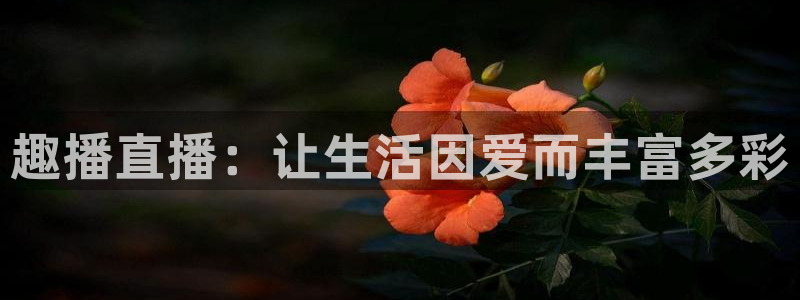 88看球直播(无插件)：趣播直播：让生活因爱而丰富多彩